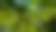 Site background